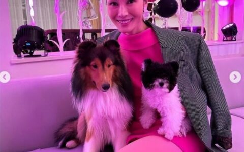 李嘉欣夫妇开家族派对，许建中夫妇当众做不雅行为，20亿豪宅曝光-港圈李嘉欣成功