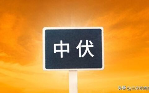 台风格美中心风力15级，将登陆福建中部，一路北上带来特大暴雨-台风靓丽