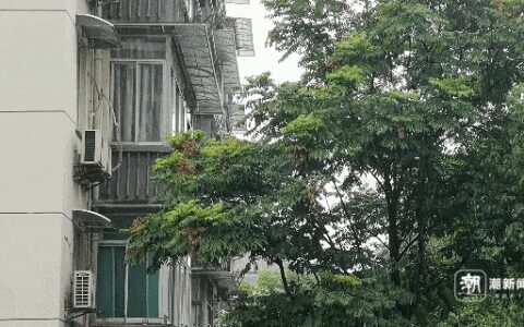 16级！“艾云尼”或成超强台风！浙江强降水、强雷电来袭-艾尼云购商城网站