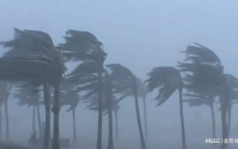 超强台风“杜苏芮”北移, 华北地区或迎强降雨-台风杜鹃胚胎最新消息2021
