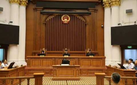 再审“流浪猫绊人案”，球馆运营企业为何要赔19万？| 新京报快评-2020流浪猫数据统计表