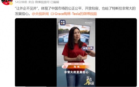 陶琳谈特斯拉入围地方政府采购清单：体现了中国市场的公正公平-特斯拉投资了多少钱