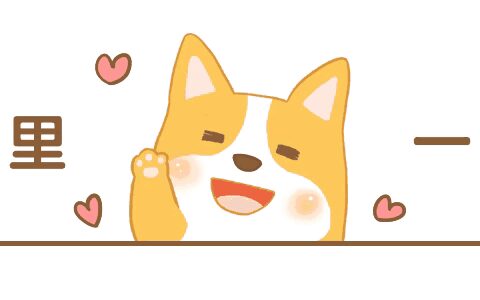 台风“格美”停编，多地暴雨引发洪水-台风Grace