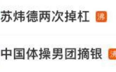 中国体操男团摘银，陈一冰致歉-女子体操陈一乐