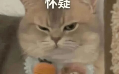 本想开心出门玩，虎门一市民却被骗走十几万……-虎门警方