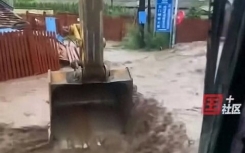 东北强降雨致多地内涝，男子开挖掘机转移被困村民:关键时没白学-东北挖出600吨黄金是真的吗