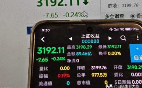 重磅来袭！A股开启新时代？上证收益指数问世！3000点不再是梦？-上证指数统计表