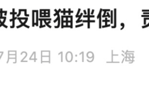 “男子被流浪猫绊倒”案再审宣判：投喂者担责20%-被流浪猫喜欢