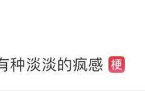 00后的工牌有种淡淡的疯感！网友：在公司耍大牌了，耍的工牌！-00后女企业家