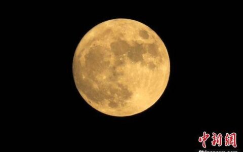 国际最新研究：月面发现潜在可进入洞道 或可选址为月球基地-在月面探测中有哪些科学发现