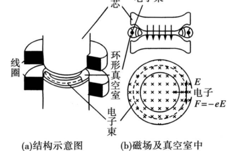 电子感应是什么，有什么作用？