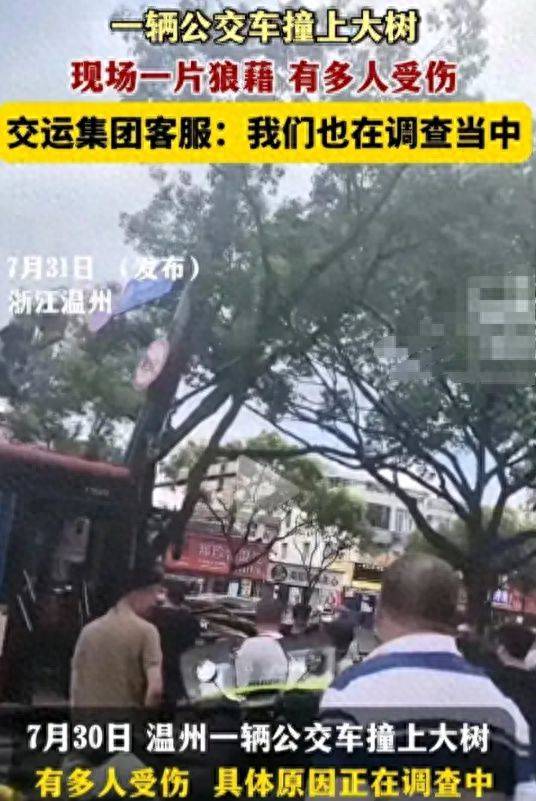 突发！浙江温州一辆公交车撞上大树，多人受伤！现场一片狼藉-温州公交车祸