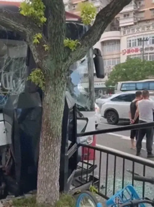 温州一辆公交车撞树,多人受伤!-温州公交车车祸