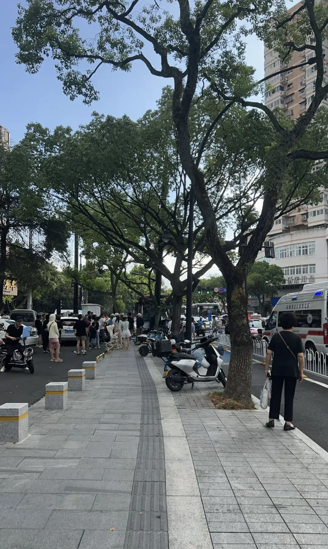 温州一辆公交车撞树,多人受伤!-温州公交车车祸