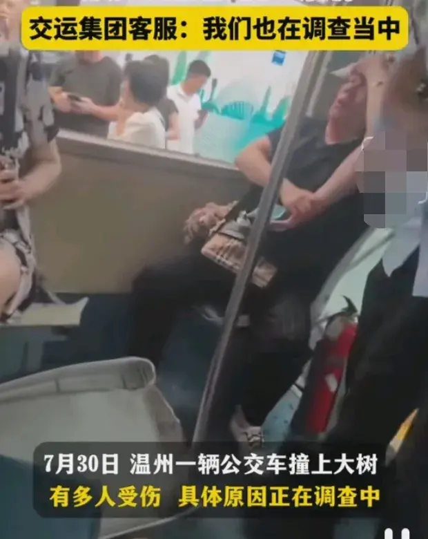 温州一辆公交车撞树,多人受伤!-温州公交车车祸