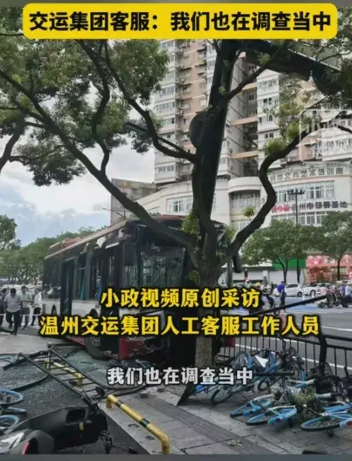 温州一辆公交车撞树,多人受伤!-温州公交车车祸