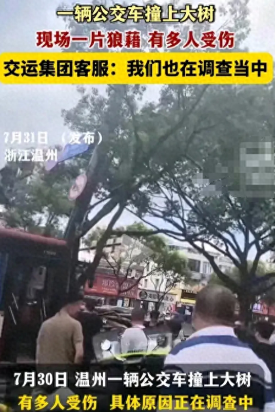 突发！浙江温州一辆公交车撞上大树，多人受伤！现场一片狼藉-温州大巴车车祸
