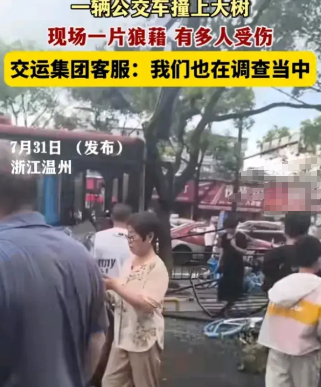 突发！浙江温州一辆公交车撞上大树，多人受伤！现场一片狼藉-温州大巴车车祸