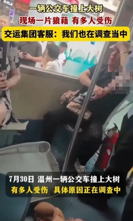 突发！浙江温州一辆公交车撞上大树，多人受伤！现场一片狼藉-温州大巴车车祸