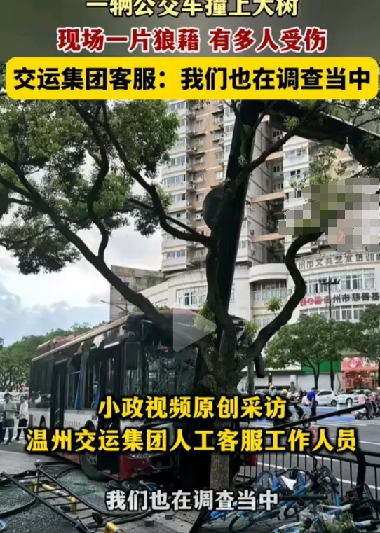 突发！浙江温州一辆公交车撞上大树，多人受伤！现场一片狼藉-温州大巴车车祸
