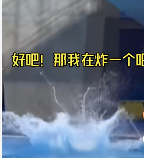 全红婵炸鱼名场面?全红婵谷爱凌商业互吹?解密全红婵水花消失术-全红婵是干嘛的