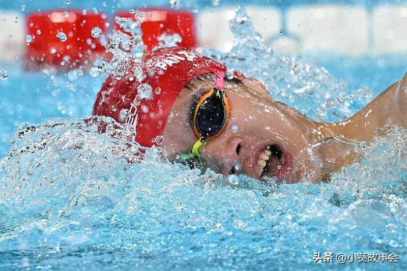 刷新世界纪录！潘展乐曾叫“看台观战选手”如今成了最强“飞鱼”-潘展信乐峰