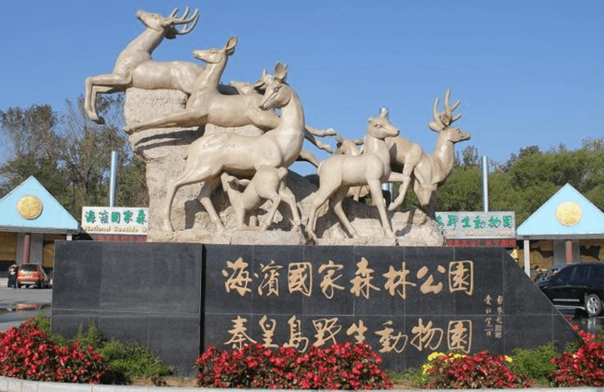 暑期带娃去海边,这几个城市是优选,人好景美好去处-适合去海边玩的城市
