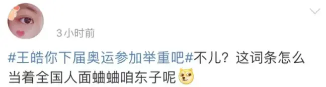 “王皓，你下届奥运参加举重吧”-王皓奥运会冠军