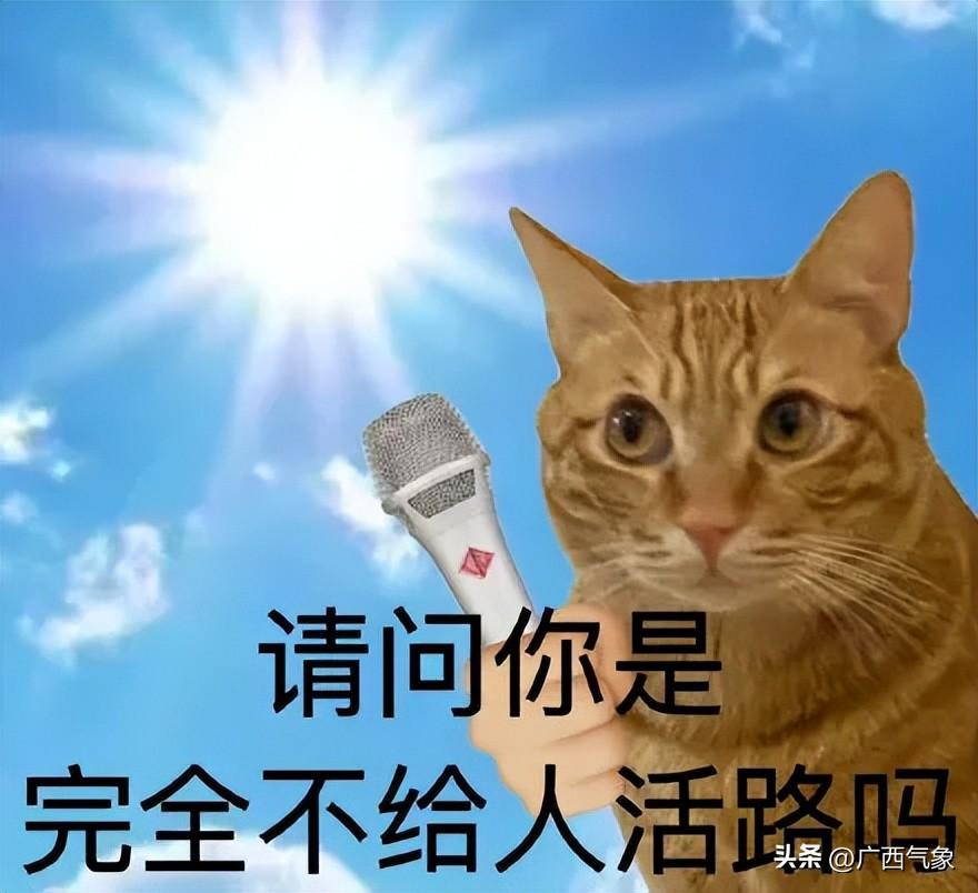 高温加剧！明天大部最高气温35~37℃ 局地超38℃！这次要热到什么时候？-牛奶一天可以喝1升嘛