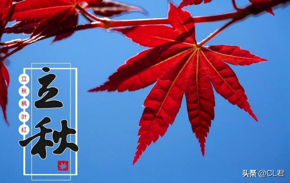 今日8点9分立秋，记得1要摸，2要躲，3要称，4要啃：平安入秋-今日立秋几点几分