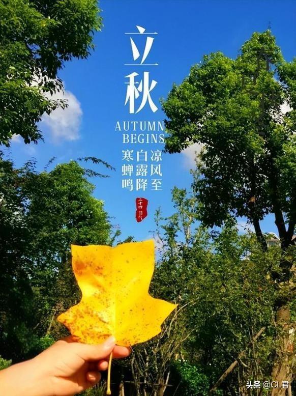 今日8点9分立秋，记得1要摸，2要躲，3要称，4要啃：平安入秋-今日立秋几点几分