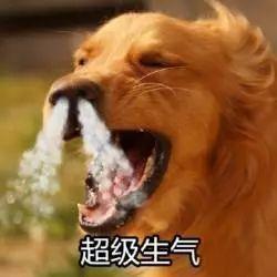 “我不想死在马桶上!”400斤钢琴家险被吸进马桶,飞机紧急迫降-我不怕死 我怕我死了