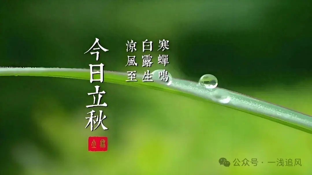 台风警报发出，5号马上登场，后有双台风降温？6号7号或中旬生成-5号台风消息