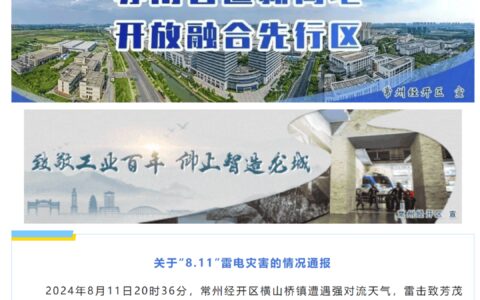 致6人遇难！江苏常州一公园凉亭遭雷击坍塌-医保在学校交了