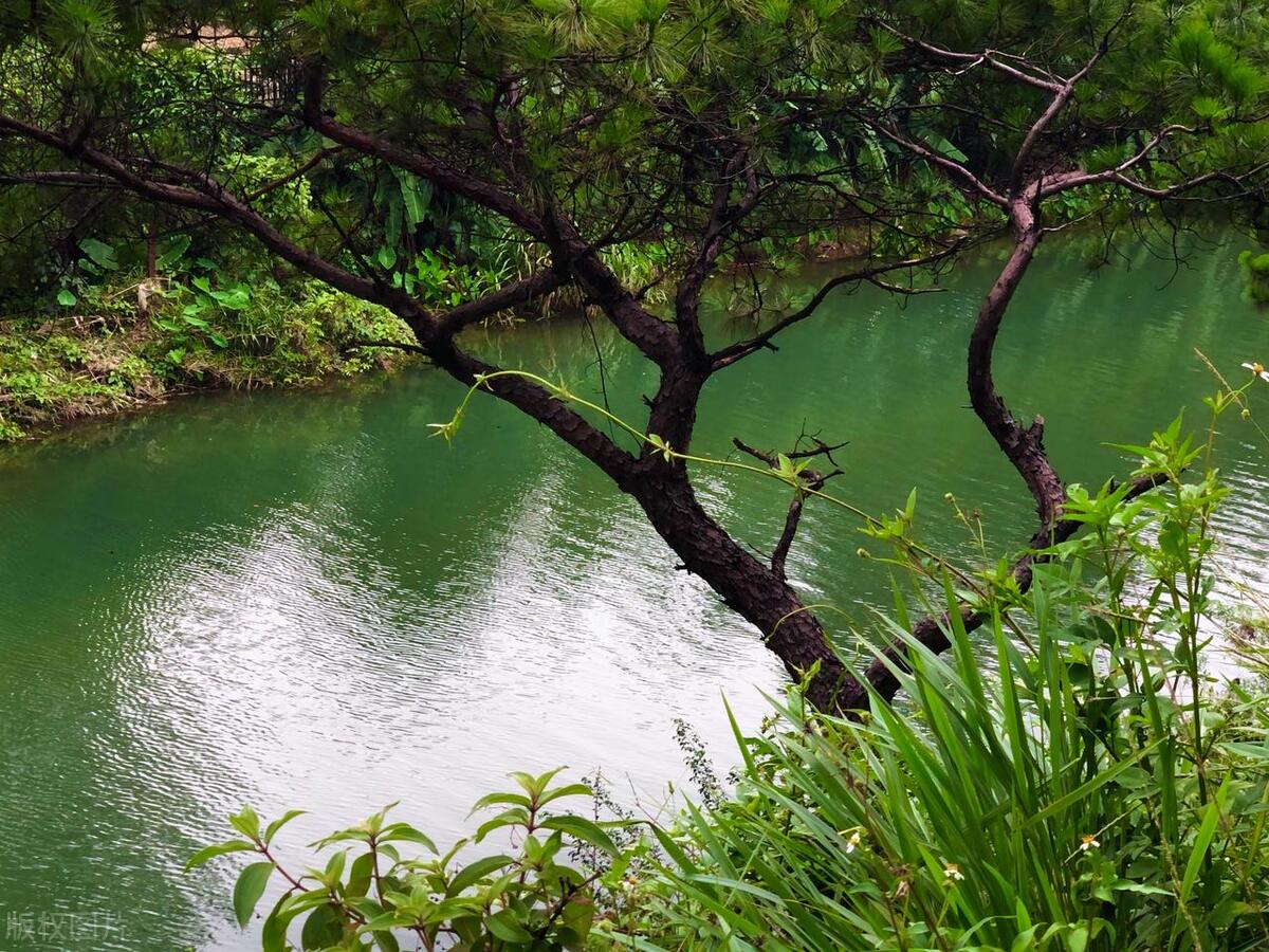 超好玩！清远这10个宝藏景点，山美水美，是时候去一趟清远了！-清远热门景点有哪些景区