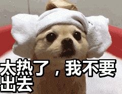 挺住！本周高温持续！-本周最高气温