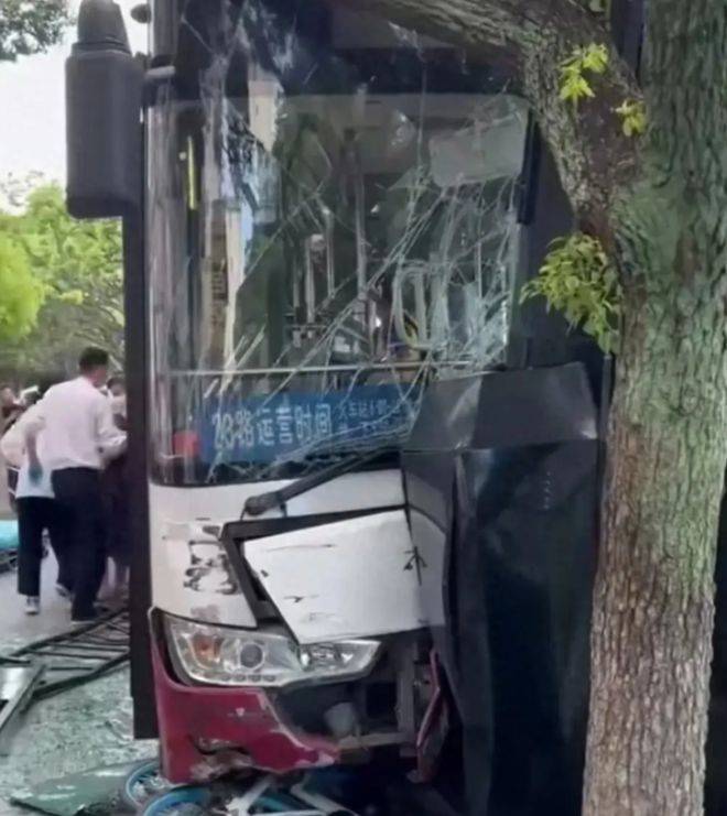 突发！浙江温州一辆公交车撞上大树，多人受伤！现场一片狼藉-温州公交车祸