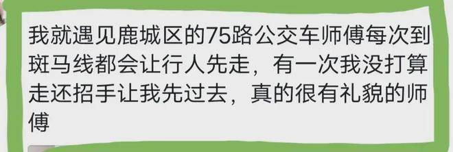 突发！浙江温州一辆公交车撞上大树，多人受伤！现场一片狼藉-温州公交车祸