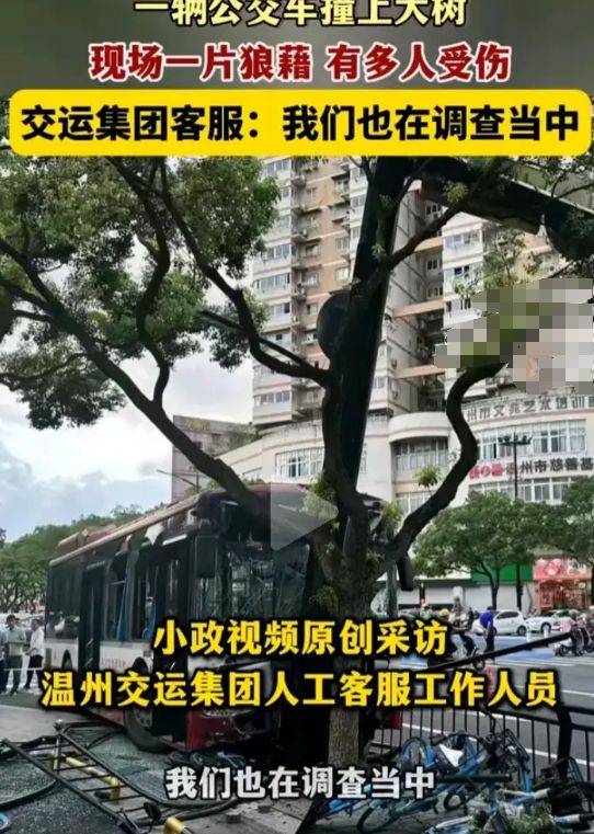 突发！浙江温州一辆公交车撞上大树，多人受伤！现场一片狼藉-温州公交车祸