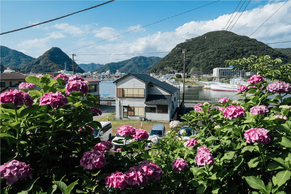 原创            日本大地震警报引发的“退订潮”：危机与应对-日本大地震2020