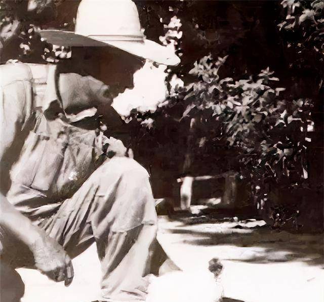 国有只鸡没有头还能活下来,主人带它到处巡演,每月赚4500美金