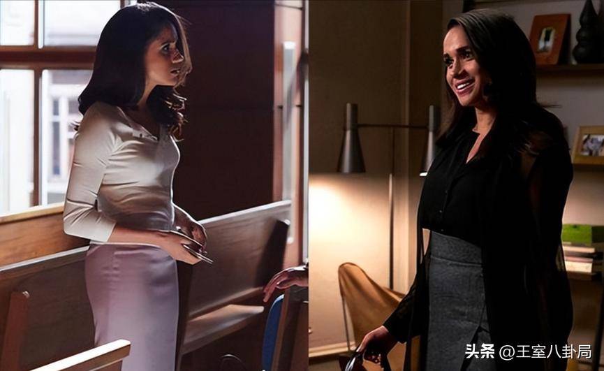 精心算计：梅根痛苦哀悼离世比格犬，收养它竟是攻略哈里的一步棋