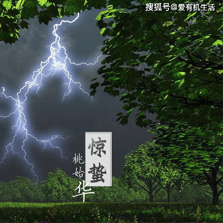 惊蛰吃什么风俗食物？