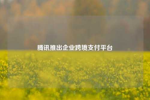 腾讯推出企业跨境支付平台