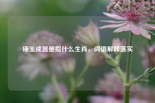 琢玉成器是指什么生肖,词语解释落实